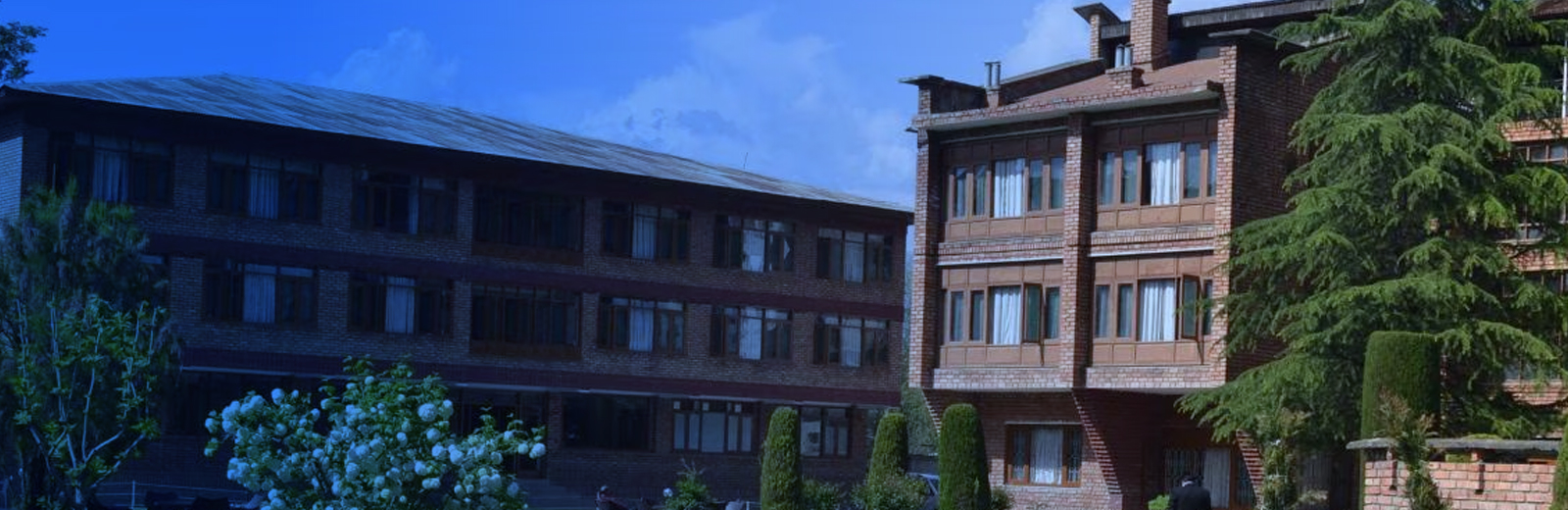 Hotel Brown Palace Srinagar