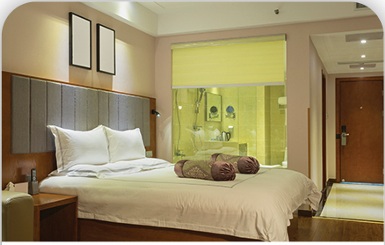 Vintage Luxury hotel in Kashmir